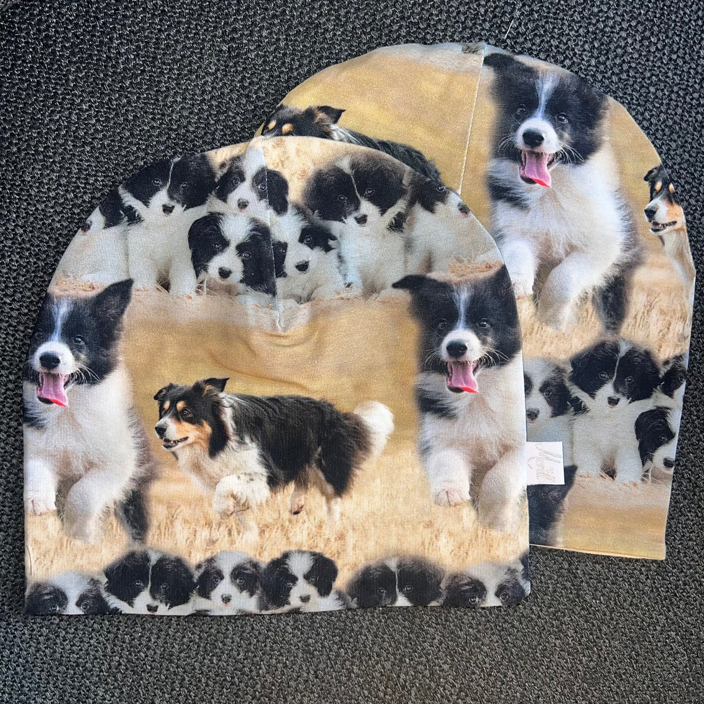 Ullfor Collie Hunder