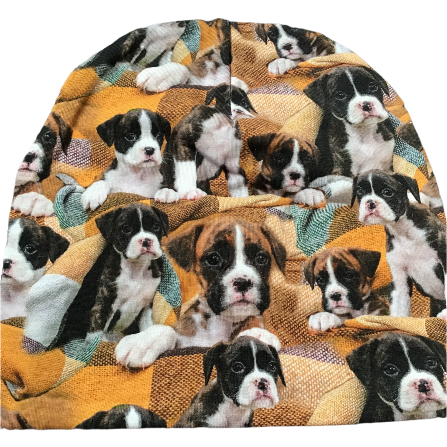 Boxer hund Lue