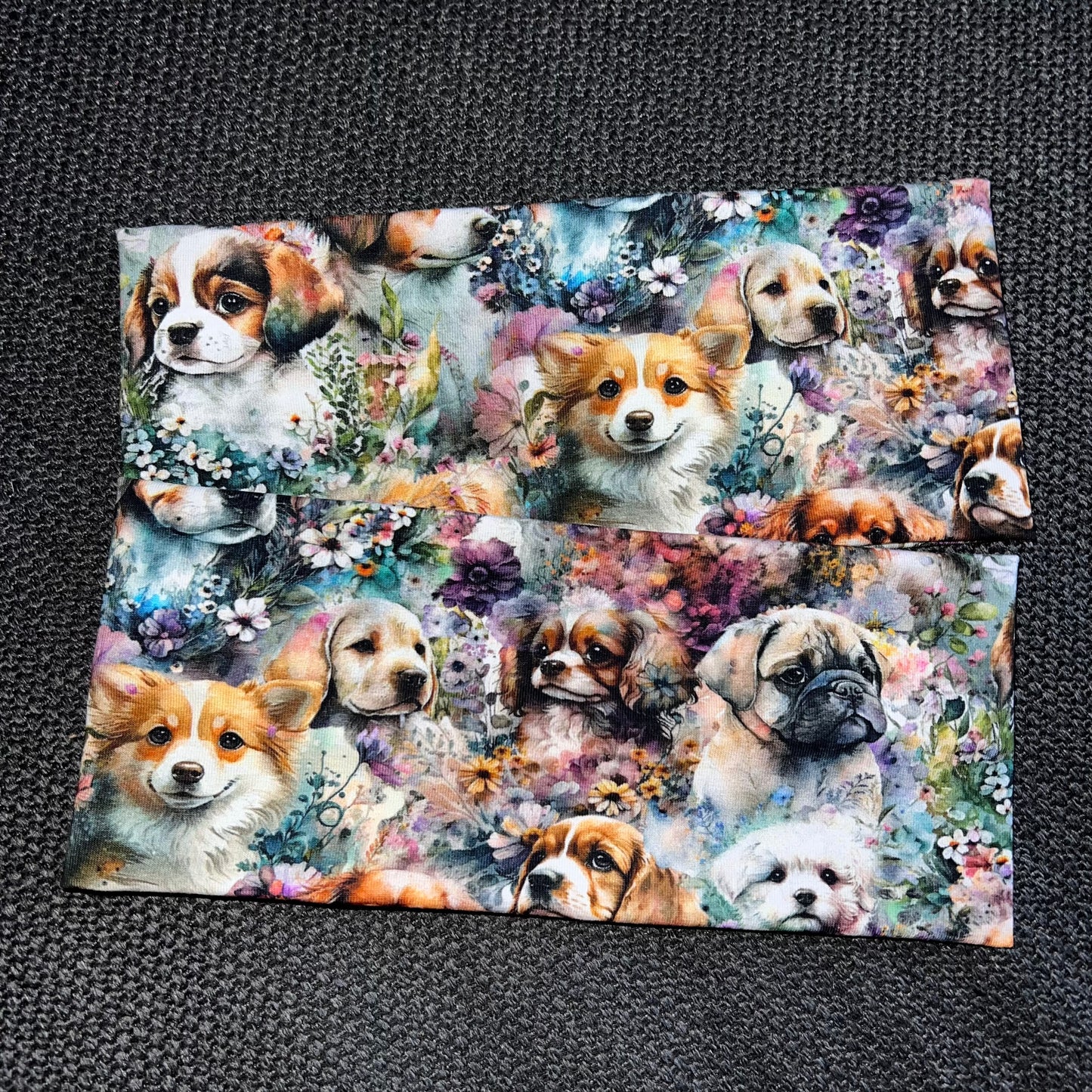 Pannebånd akvarell hund