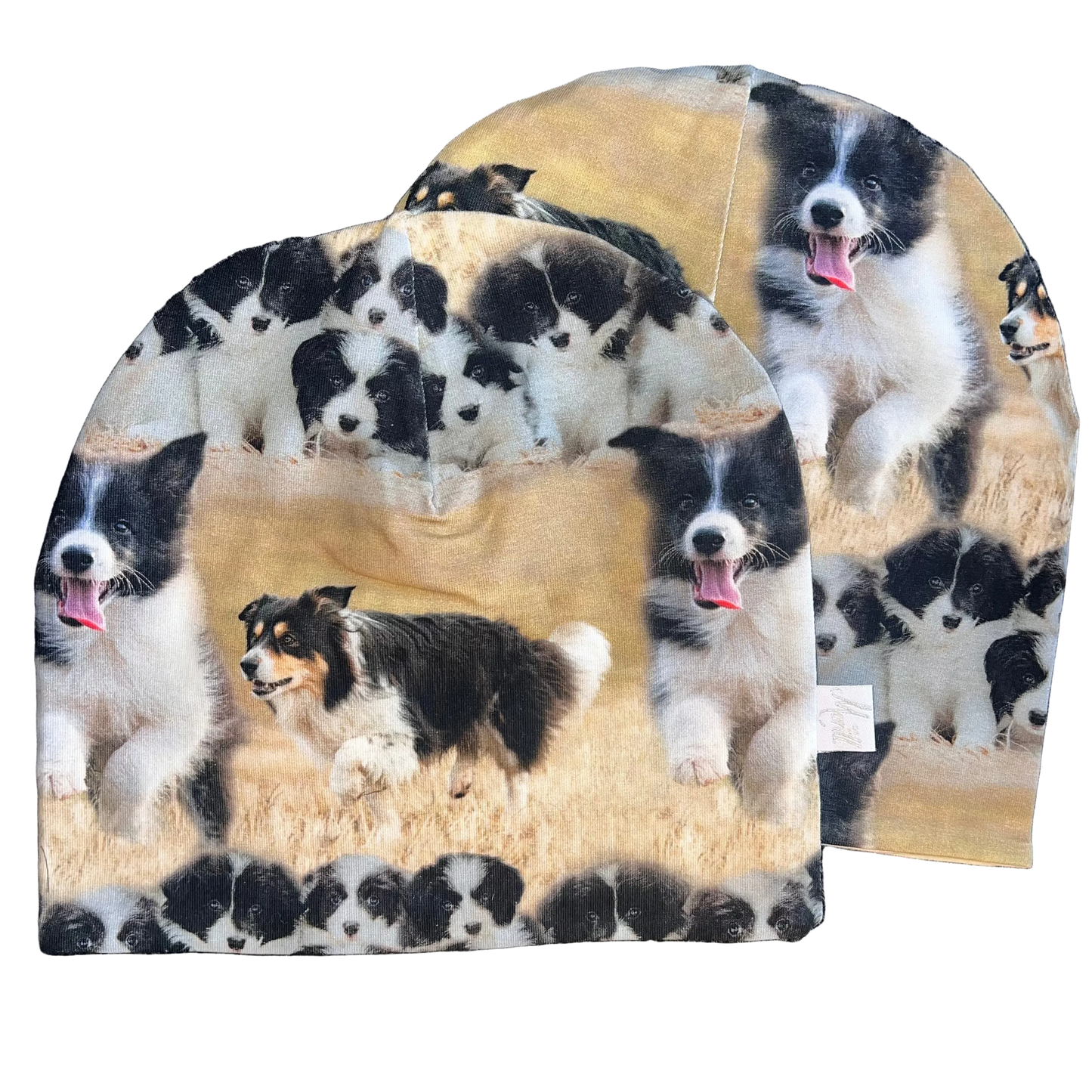 Ullfor Collie Hunder