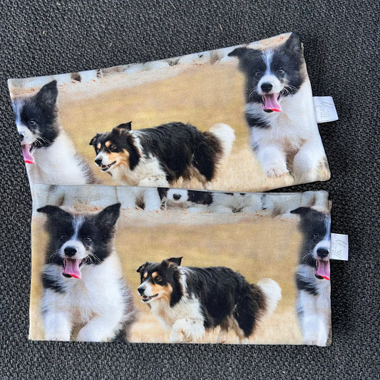 Hals collie hunder