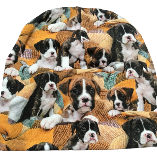 Boxer hund Lue