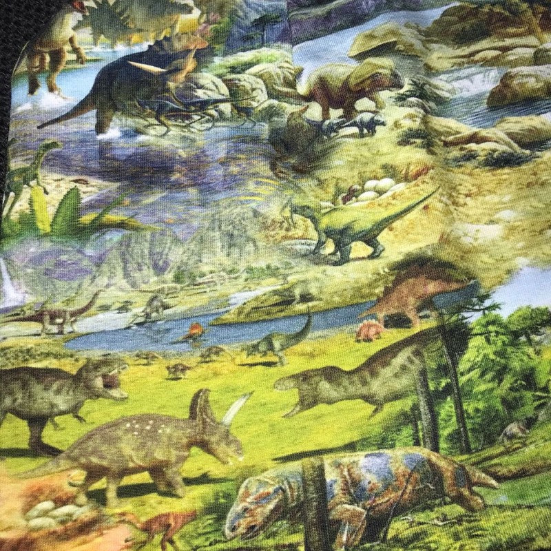 Lue Dinosaurer